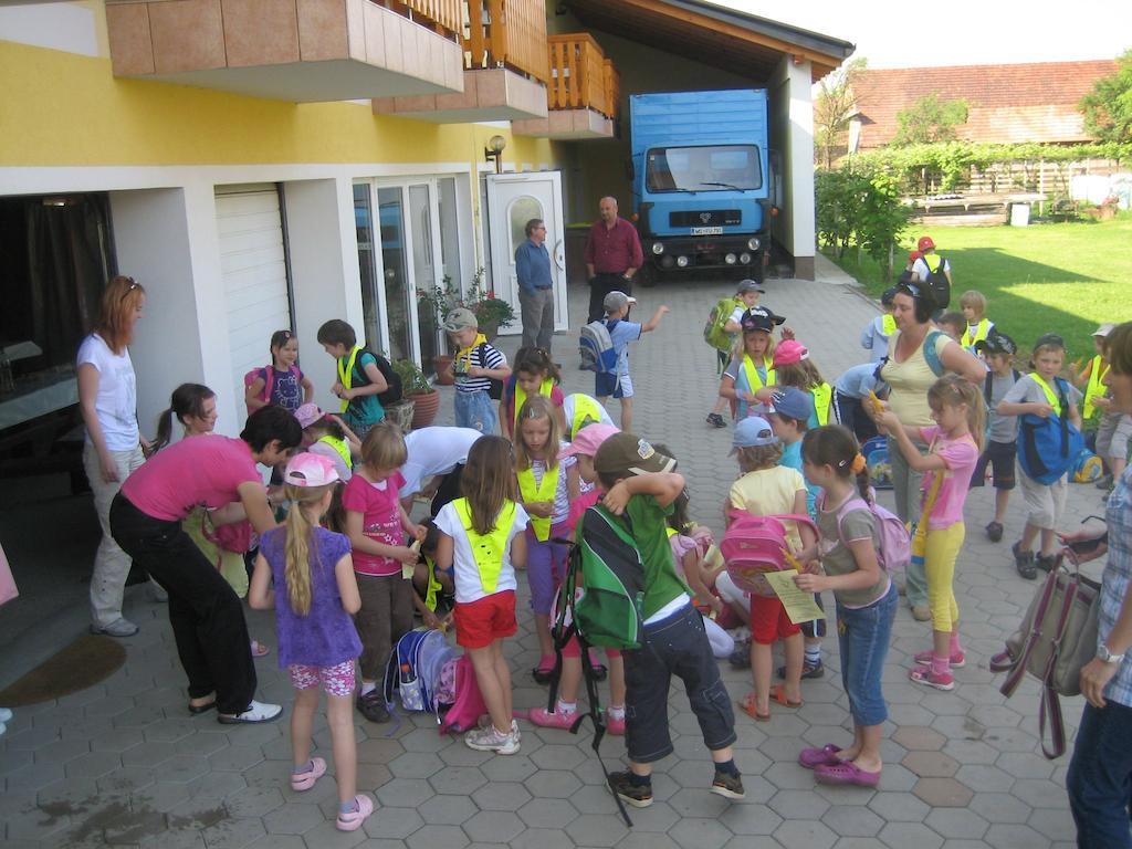 Tourist Farm Šalamun Villa Banovci Exterior foto