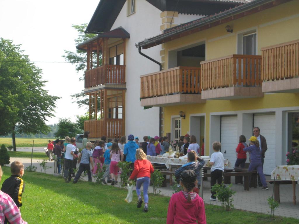 Tourist Farm Šalamun Villa Banovci Exterior foto