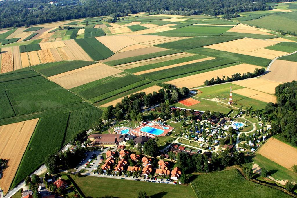 Tourist Farm Šalamun Villa Banovci Exterior foto