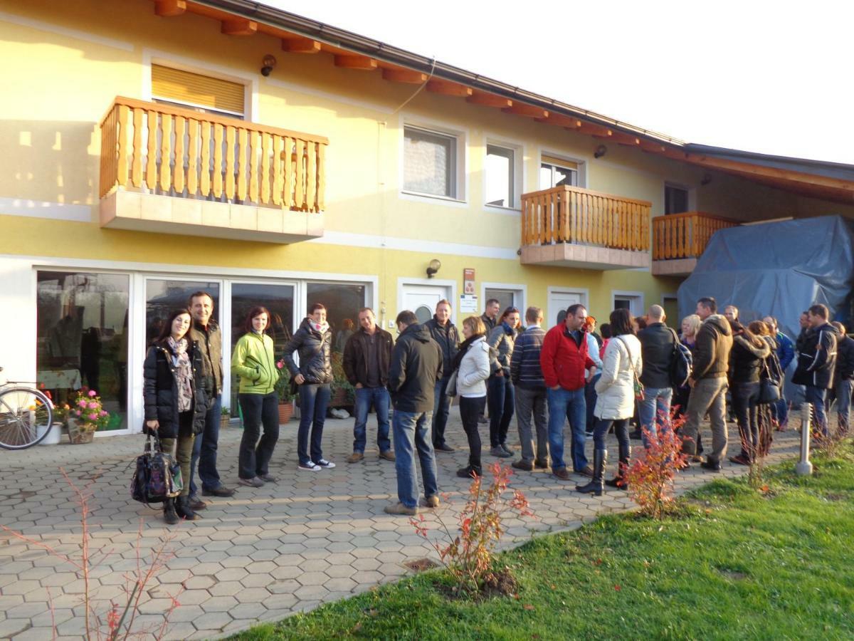 Tourist Farm Šalamun Villa Banovci Exterior foto