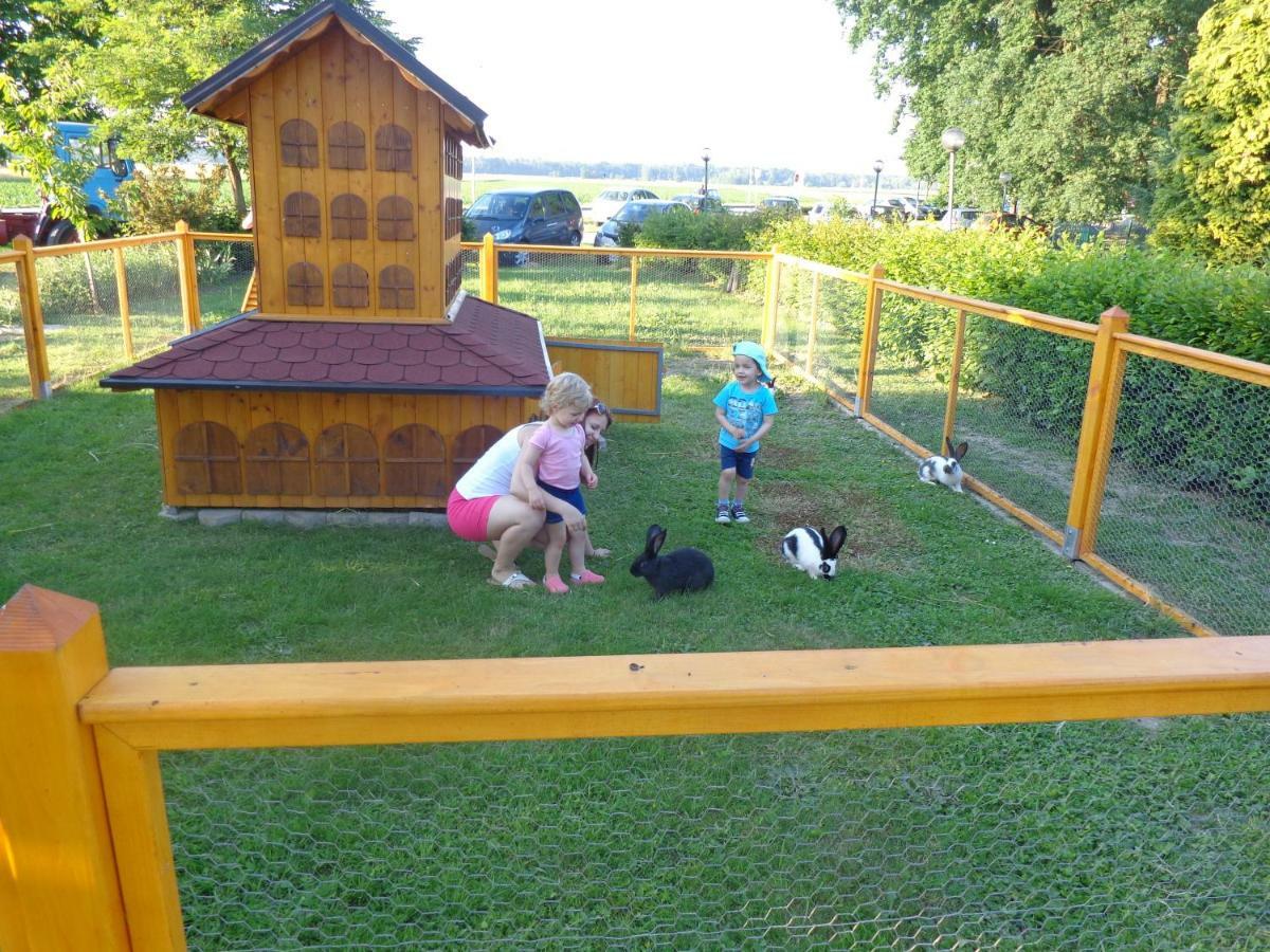 Tourist Farm Šalamun Villa Banovci Exterior foto